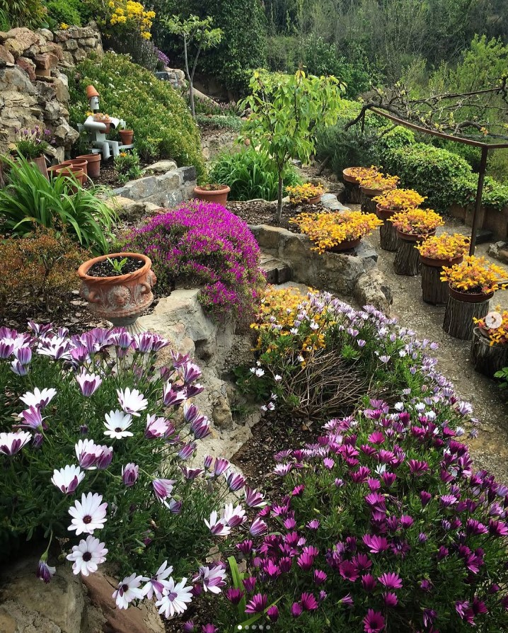Regs-i-Jardins imagen2